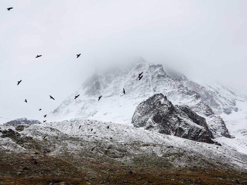 sudoku timer mode screenshot 4